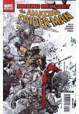 Amazing Spider-Man Vol 1 #555 VF/NM