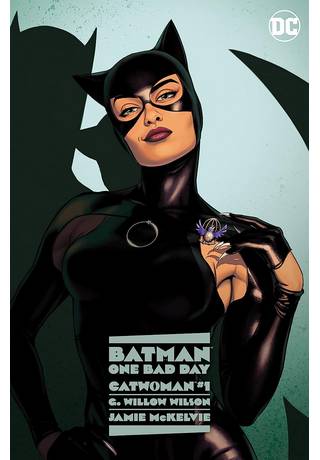 Batman One Bad Day Catwoman HC